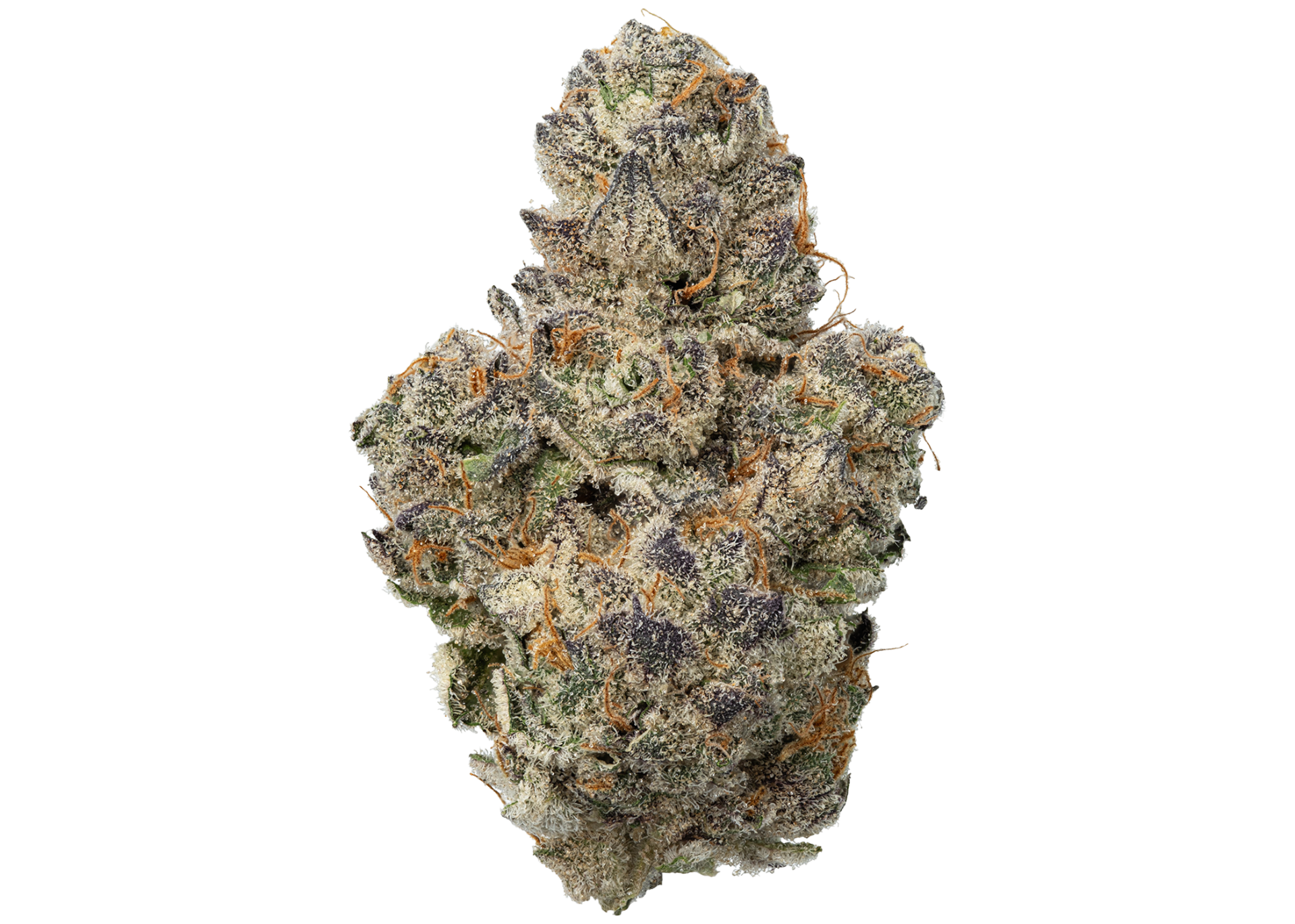 Mimosa x Mochi | hybrid Cannabis Strain | Fresh Cannabis
